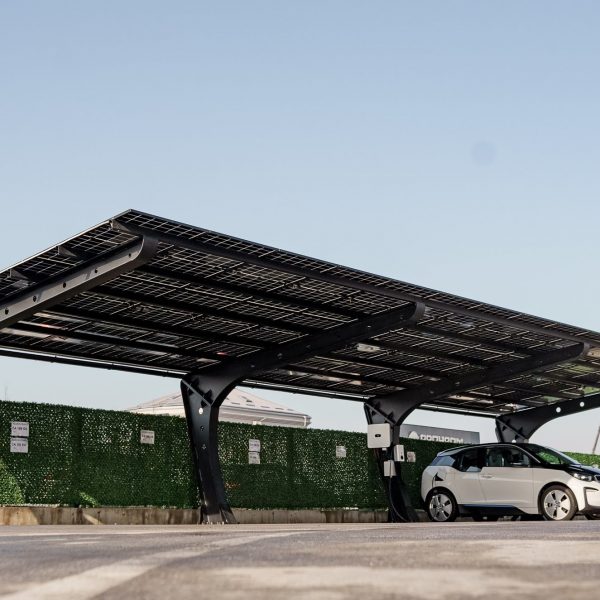 DSC092571-e1733732652627